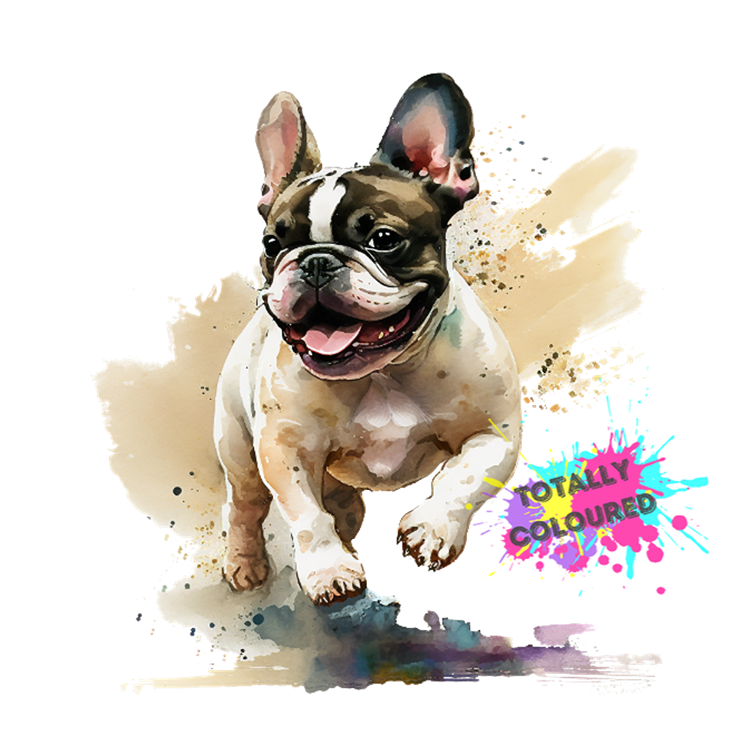 Frenchie Decal | Totally Coloured